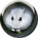 Винтик