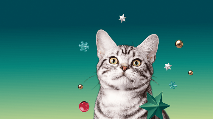 Предложение-1