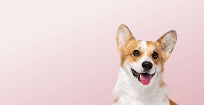 Предложение2. Версия планшета