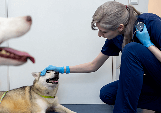 Выпуск подкаста &laquo;Это вам не&nbsp;сказки&raquo; с&nbsp;Елизаветой Александровой