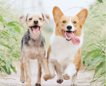 Банк <span style="color:#EB3223;">крови<span>